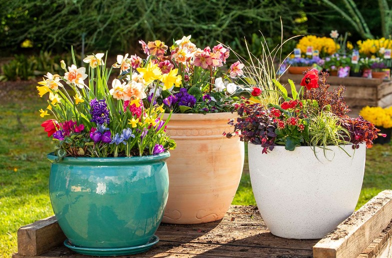 Beautiful Flower Pot: Add Some Charm and Elegance to Your Home Decor