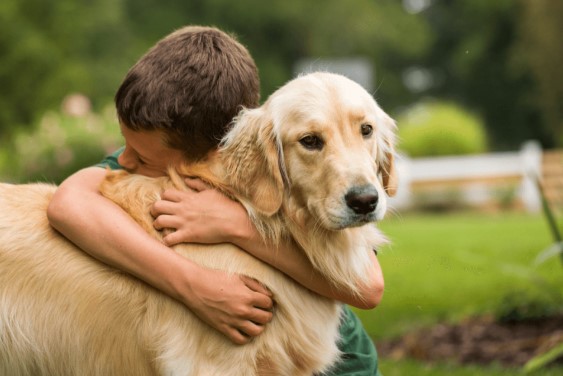 final moments and say goodbye